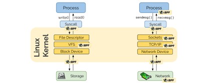 White-box cryptographic module architecture